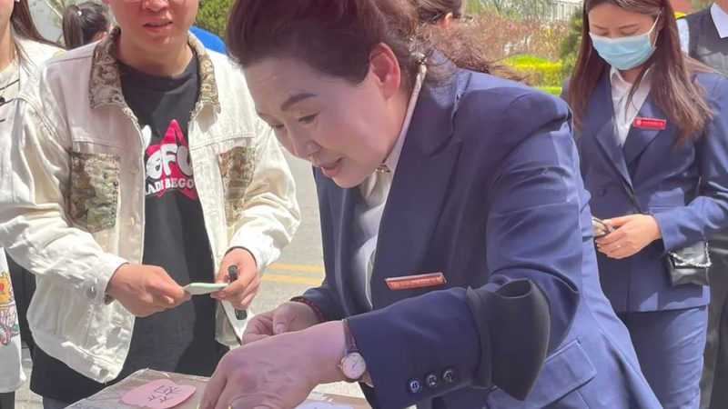 VI设计素材分类解析：全面了解设计元素**