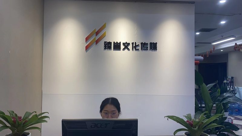 上海文化传媒公司营业执照办理：合规之路详解**