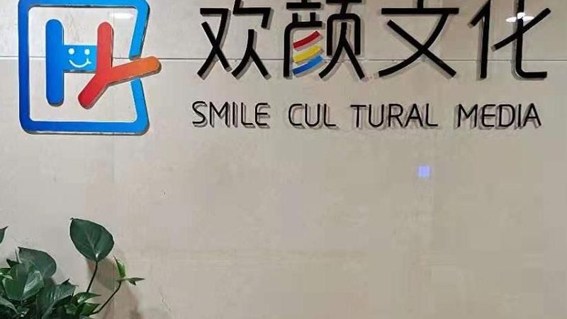 品牌策划市场调研：揭秘高效策略与关键步骤