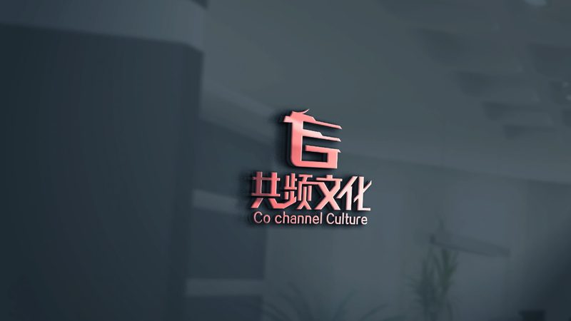 深圳企业宣传片拍摄团队优势