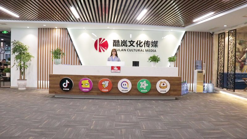 媒介投放流程揭秘：从策略制定到效果评估的全方位解析